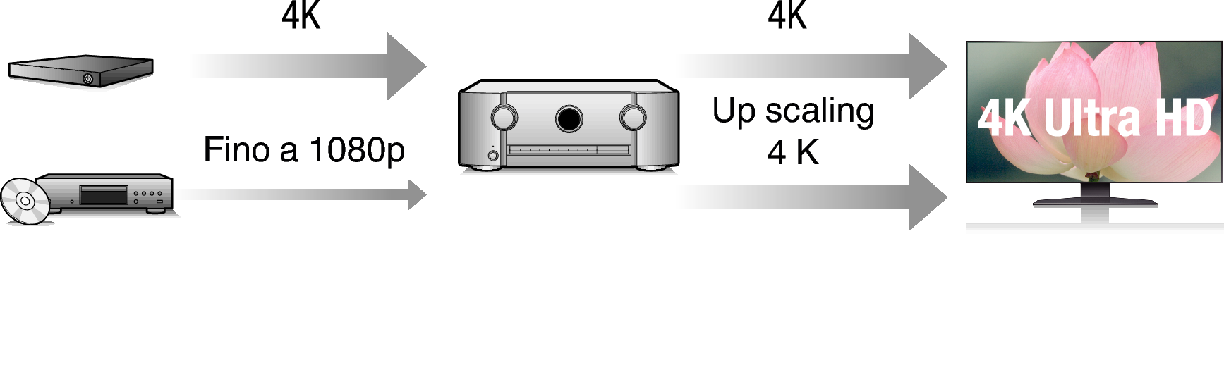 Feature2 5010